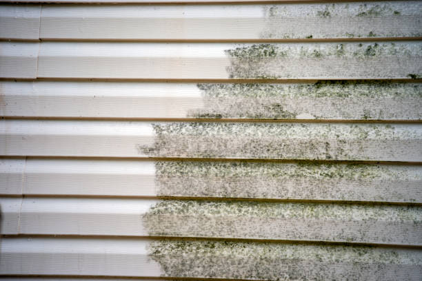 Best Mattress Disposal  in Stanford, KY